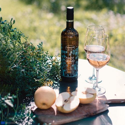 CANDONI PINOT GRIGIO (750ML)