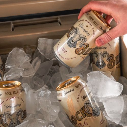 YUENGLING BOCK BEER (12OZ)