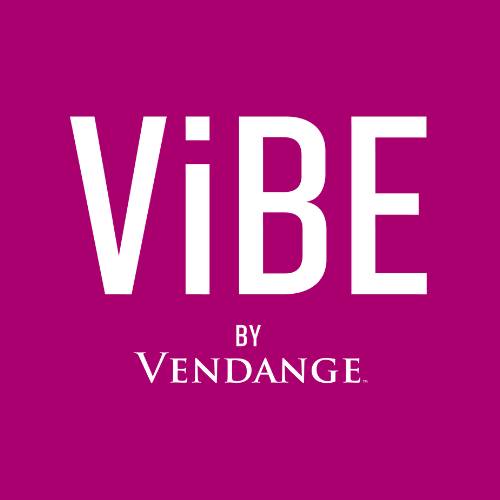 VIBE WATERMELON LIMEADE (500ML)