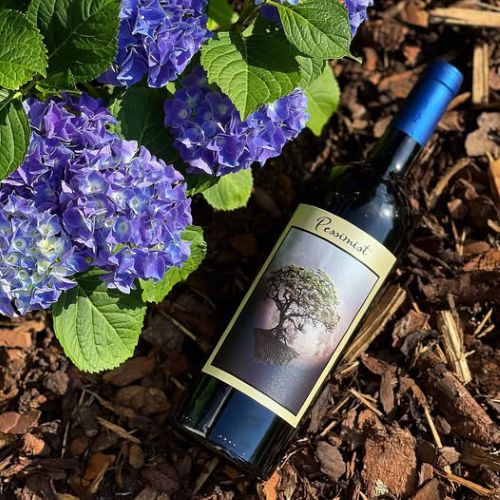 DAOU PESSIMIST RED BLEND (750ML)