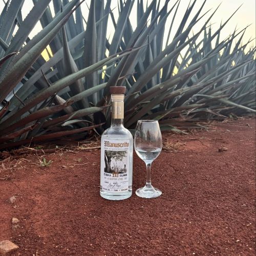 MANUSCRITO BLANCO (750ML)