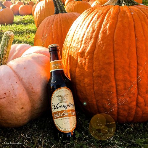 YUENGLING OKTOBERFEST (12OZ)