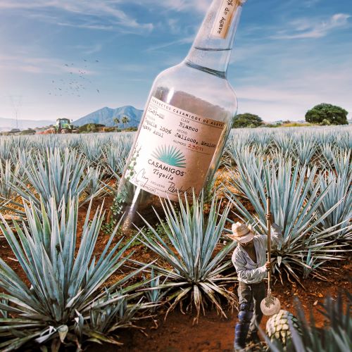 CASAMIGOS BLANCO TEQUILA (375ML)