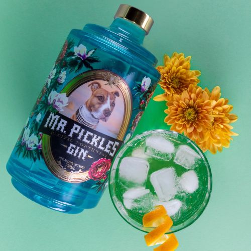 MR. PICKLES GIN (750ML)