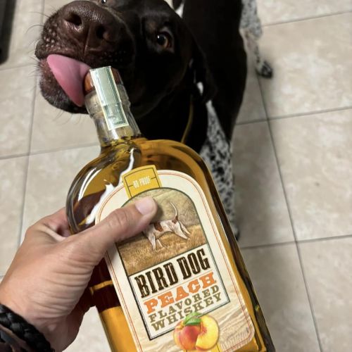 BIRD DOG PEACH (50ML)