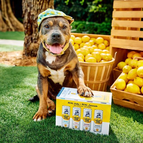 LUCKY ONE LEMONADES ASST (355ML)