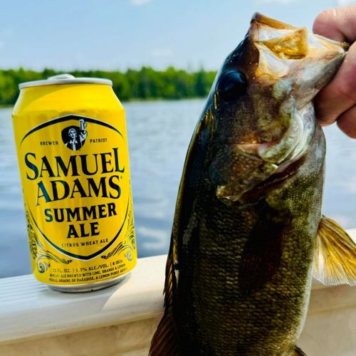 SAM ADAMS SUMMER ALE (12OZ)