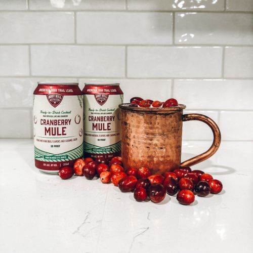 BOOT HILL CRANBERRY MULE (355ML)