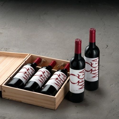 VIK OMEGA CABERNET SAUV (750ML)