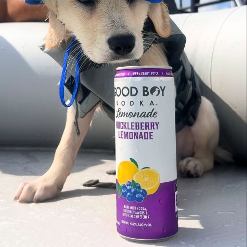 GOOD BOY HUCKLEBERRY LEM 4PK (355ML)