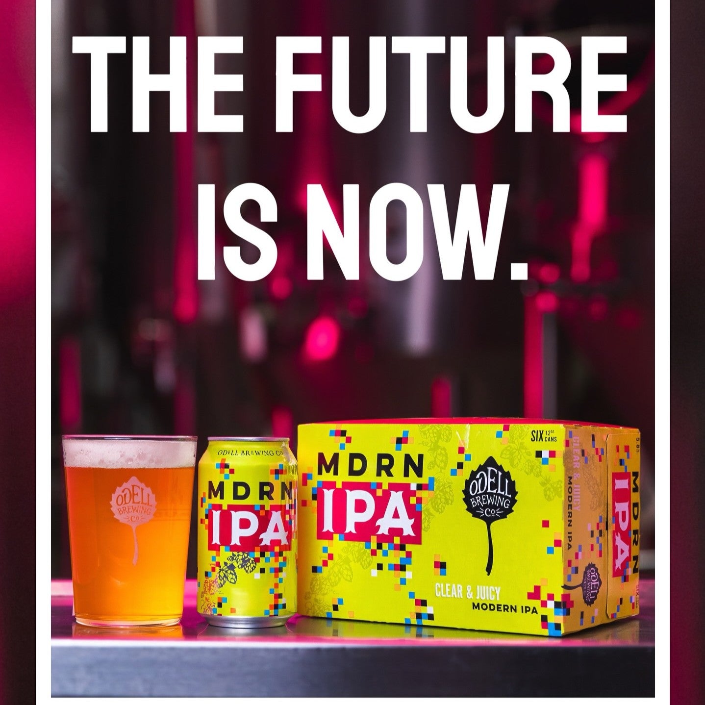 ODELL MDRN IPA (12OZ)